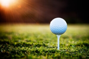 local golf courses in Sarasota county