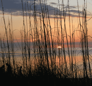 Siesta Beach in Siesta Key image