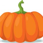 vector image of a pumpkin