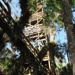 image of Myakka state park