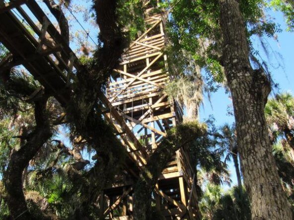 image of Myakka state park