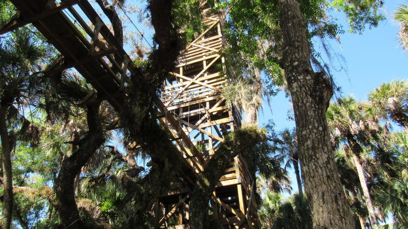 image of Myakka state park