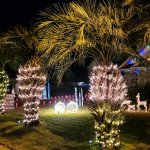 image of holiday lights on a house