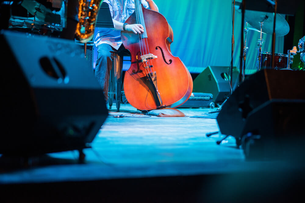 image double bass on stage