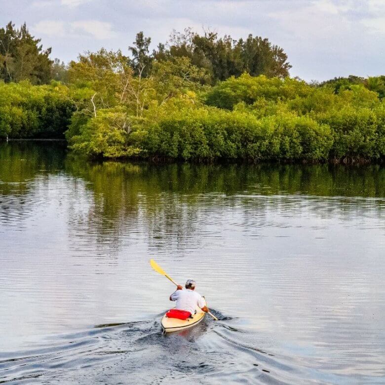 Winter Outdoor Adventures Near Your Sarasota Vacation Rental: 4 Must-Do Experiences