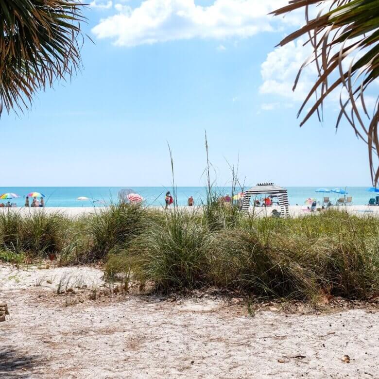 Exciting Ways to Spend Summer in Sarasota